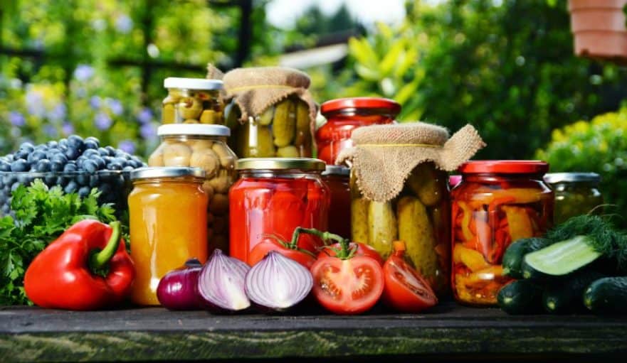 A Newbie’s Data to Canning * Massive Weblog of Gardening