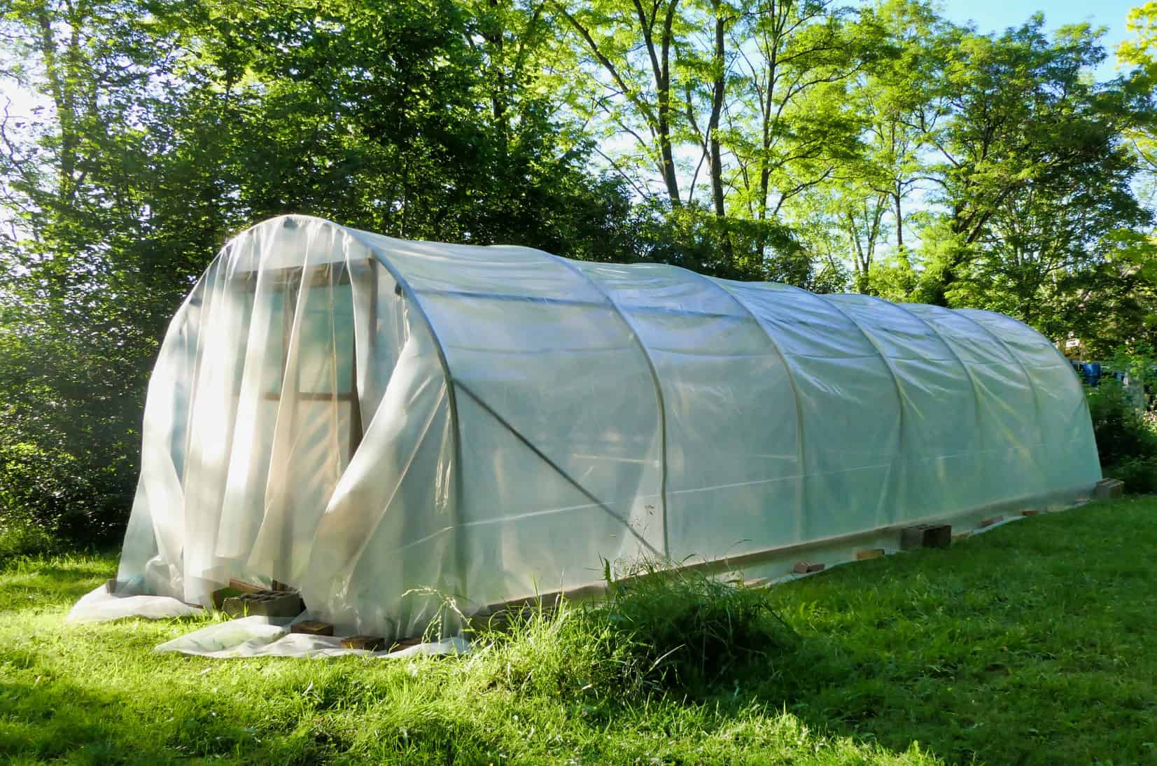 Polytunnel Rising For Newcomers * Enormous Weblog of Gardening