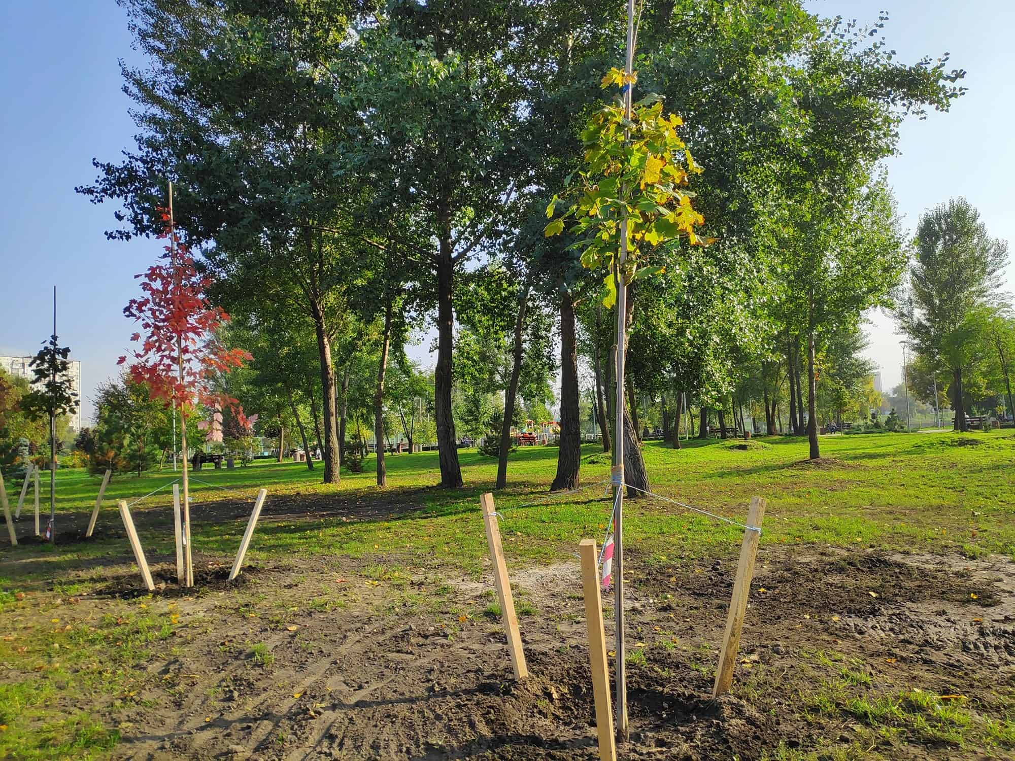 Staking a Tree Is Nearly In no way The Right Challenge To Do * Giant Weblog of Gardening