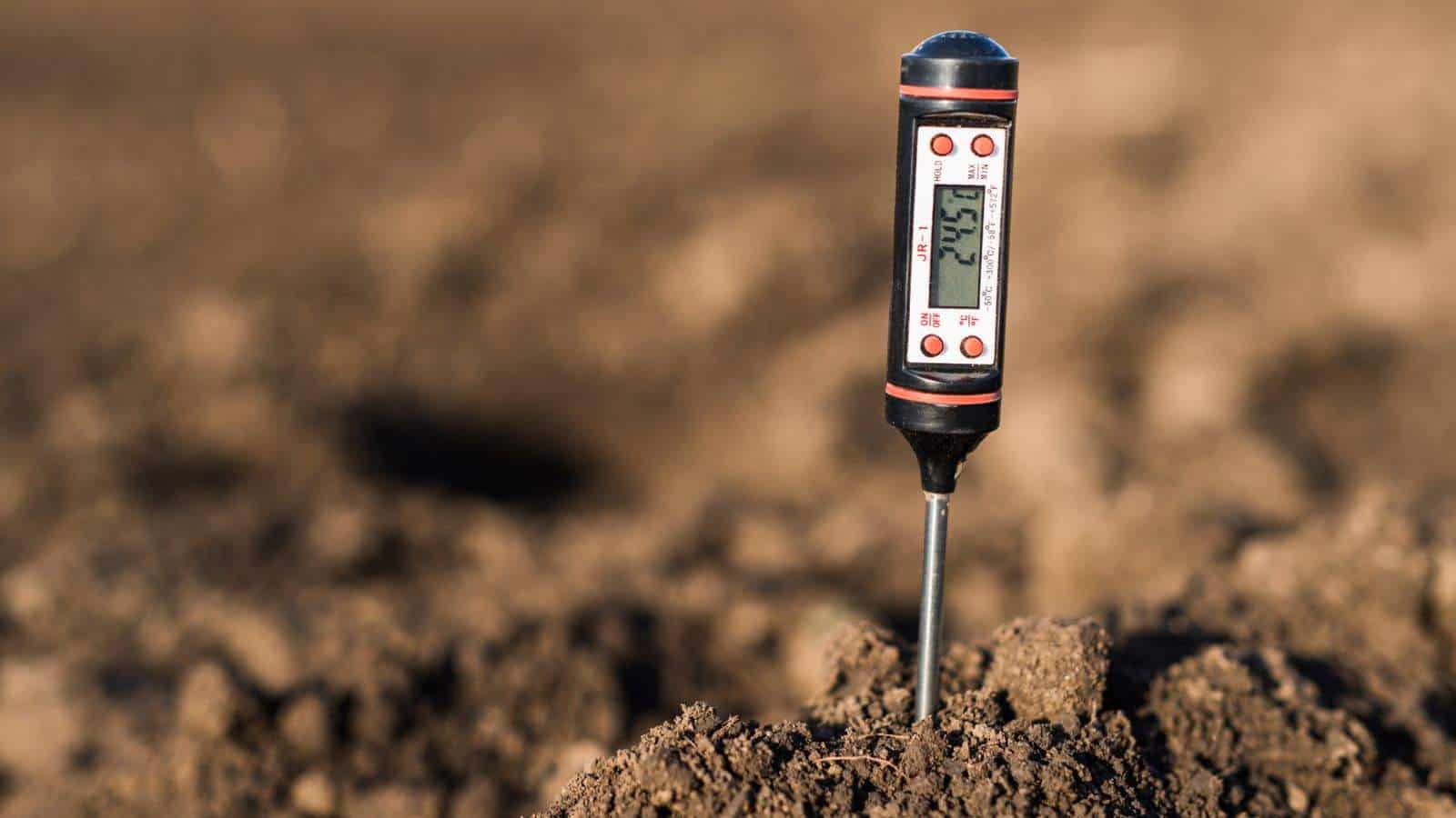 Close up view of soil meter measuring the PH, temperature and moisture of the field