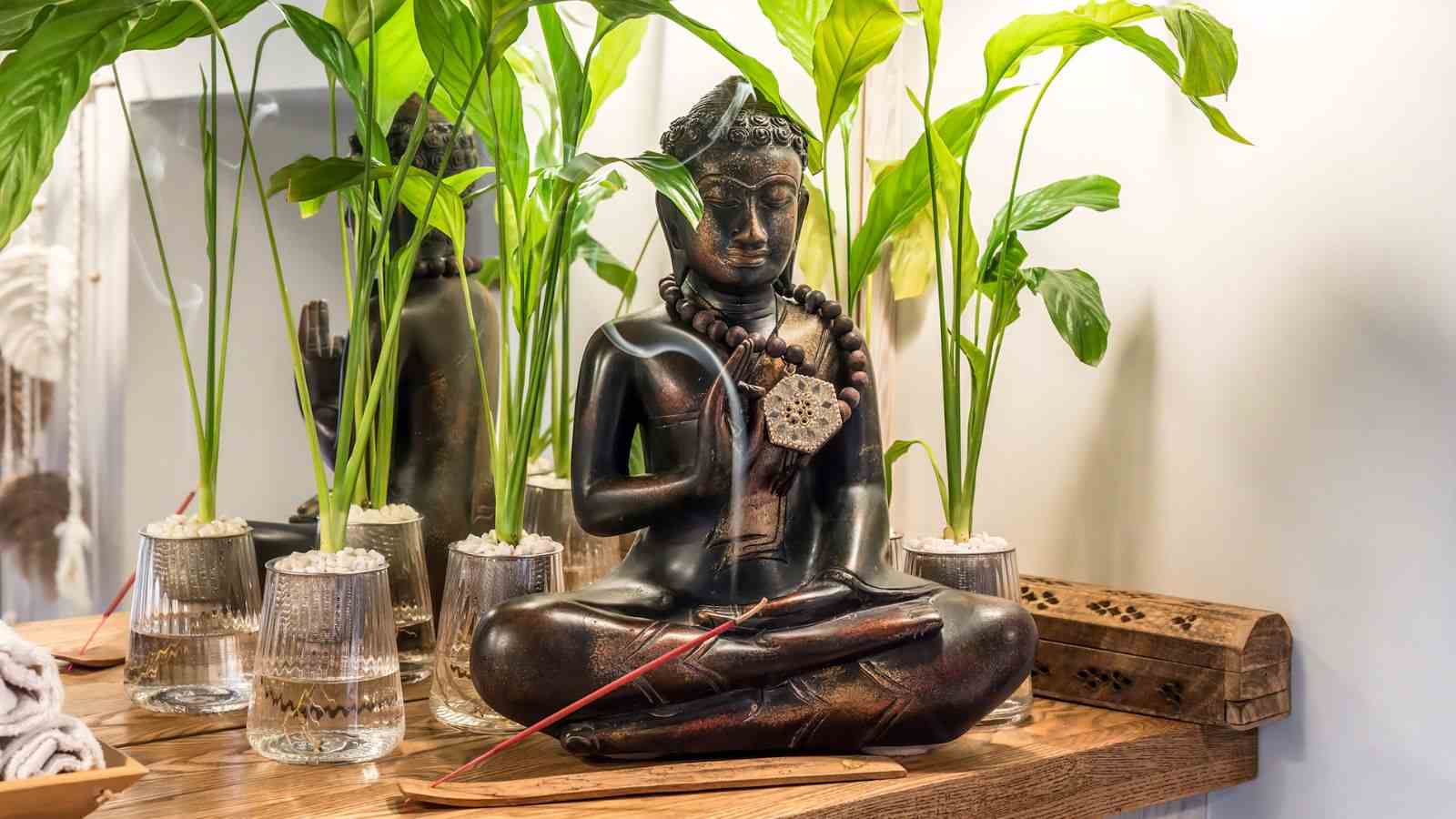 Close up view of peace lily growing in a glass with water with a buddha on the side