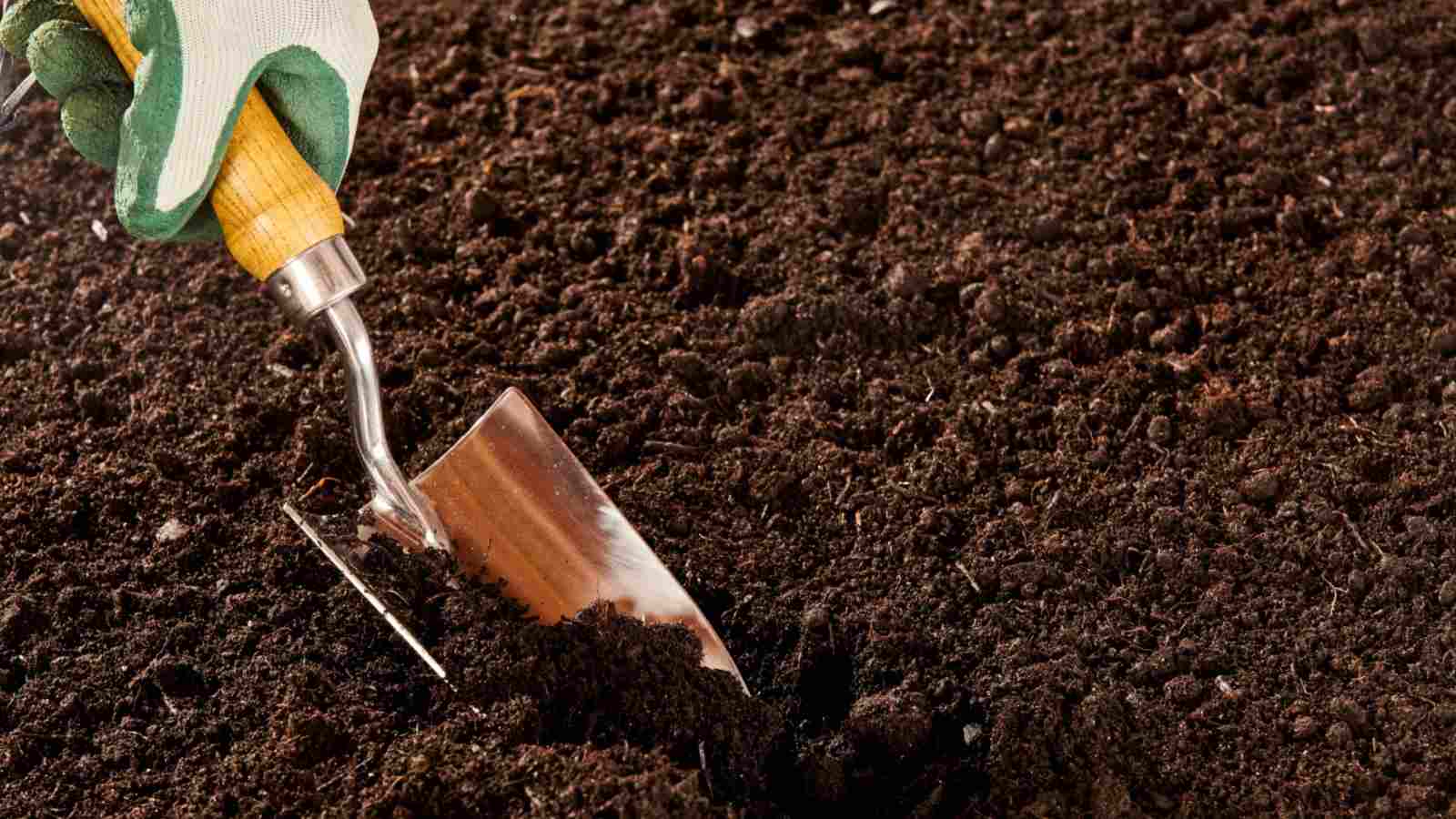 Close up view on a gardener's hand in rubber and cloth gloves using a trowel to prepare the soil