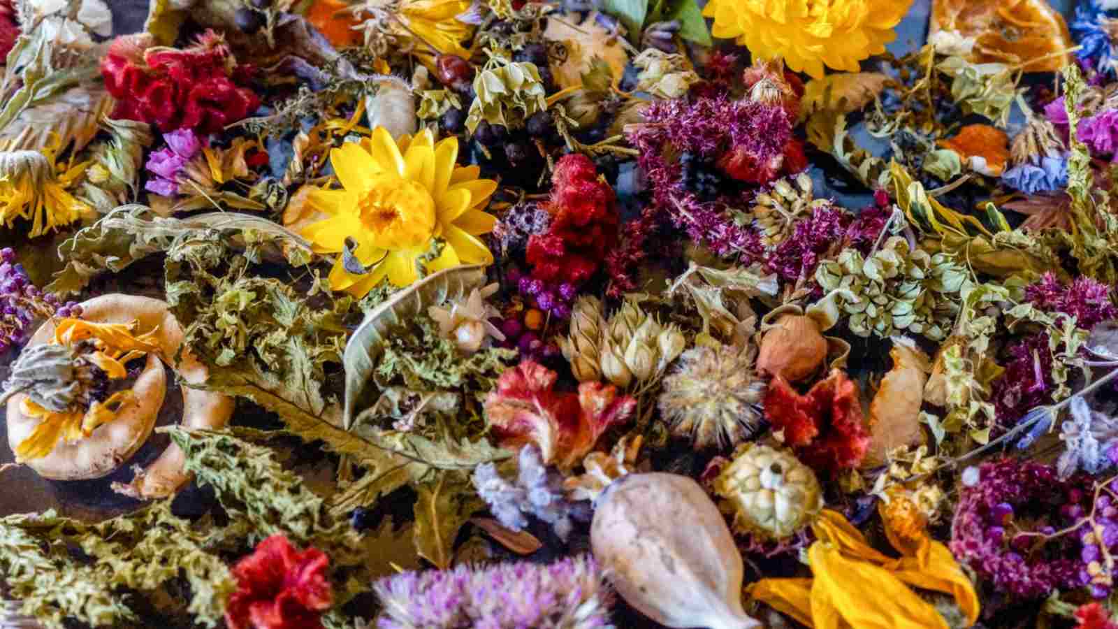 A close up of dried flowers, dried oranges, fragrant herb leaves, and seedpods used as flower confetti or potpourri